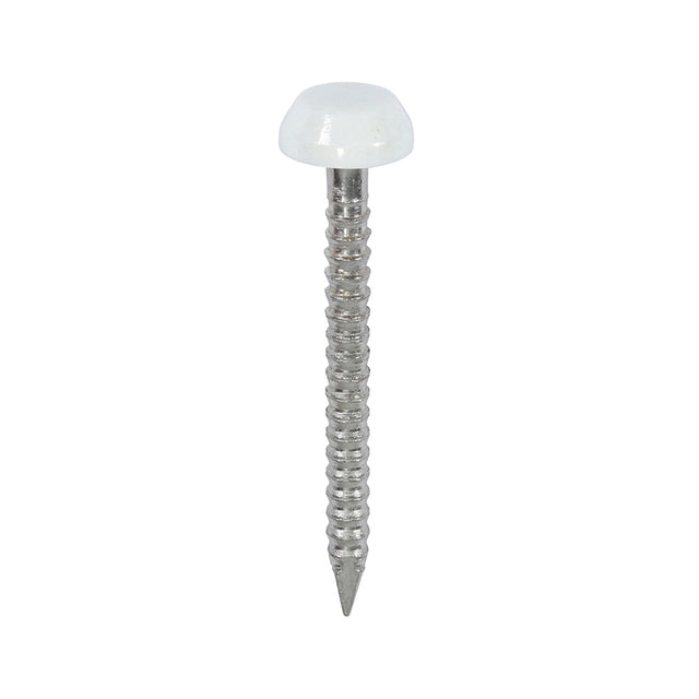 This is an image showing TIMCO Polymer Headed Pins - A4 Stainless Steel - White - 25mm - 250 Pieces Box available from T.H Wiggans Ironmongery in Kendal, quick delivery at discounted prices.