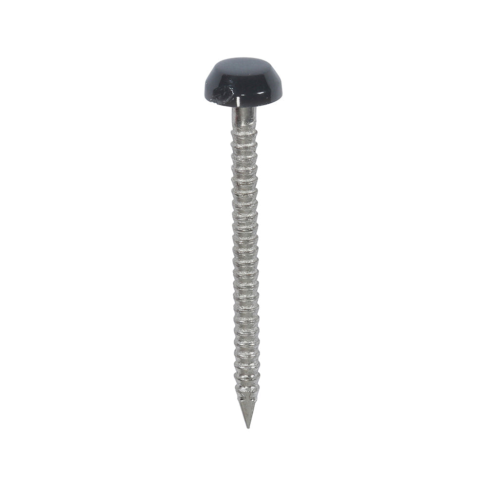 This is an image showing TIMCO Polymer Headed Pins - A4 Stainless Steel - Anthracite Grey - 30mm - 250 Pieces Box available from T.H Wiggans Ironmongery in Kendal, quick delivery at discounted prices.