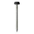 This is an image showing TIMCO Polymer Headed Pins - Stainless Steel - Black - 30mm - 60 Pieces TIMpac available from T.H Wiggans Ironmongery in Kendal, quick delivery at discounted prices.