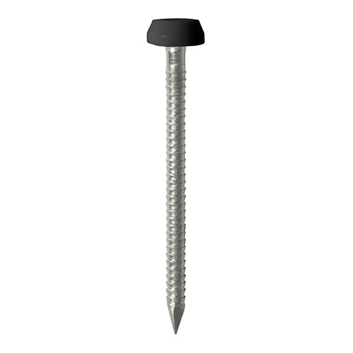 This is an image showing TIMCO Polymer Headed Pins - Stainless Steel - Black - 30mm - 60 Pieces TIMpac available from T.H Wiggans Ironmongery in Kendal, quick delivery at discounted prices.