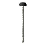 This is an image showing TIMCO Polymer Headed Pins - Stainless Steel - Black - 30mm - 60 Pieces TIMpac available from T.H Wiggans Ironmongery in Kendal, quick delivery at discounted prices.