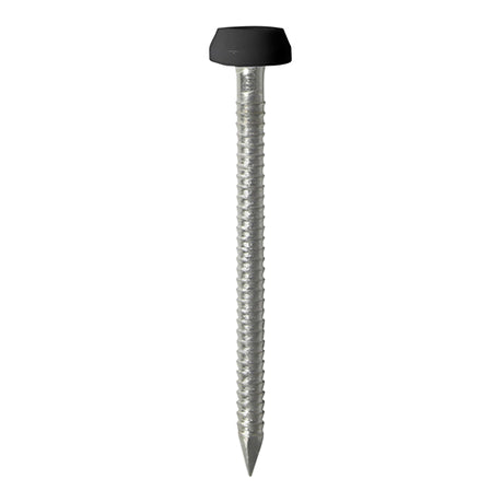 This is an image showing TIMCO Polymer Headed Pins - Stainless Steel - Black - 30mm - 60 Pieces TIMpac available from T.H Wiggans Ironmongery in Kendal, quick delivery at discounted prices.