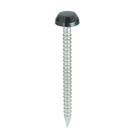 This is an image showing TIMCO Polymer Headed Pins - A4 Stainless Steel - Black - 30mm - 250 Pieces Box available from T.H Wiggans Ironmongery in Kendal, quick delivery at discounted prices.