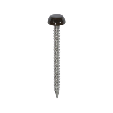 This is an image showing TIMCO Polymer Headed Pins - A4 Stainless Steel - Mahogany - 30mm - 250 Pieces Box available from T.H Wiggans Ironmongery in Kendal, quick delivery at discounted prices.