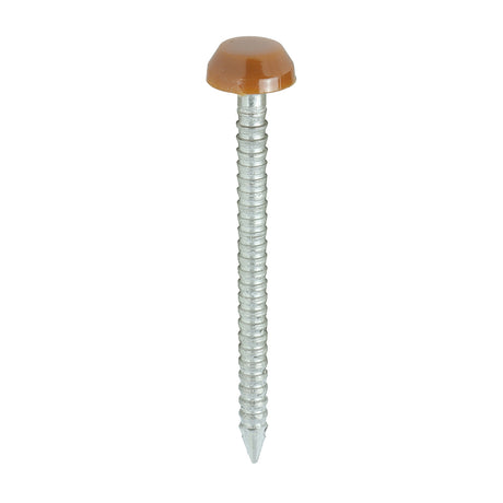 This is an image showing TIMCO Polymer Headed Pins - A4 Stainless Steel - Clay Brown - 30mm - 250 Pieces Box available from T.H Wiggans Ironmongery in Kendal, quick delivery at discounted prices.