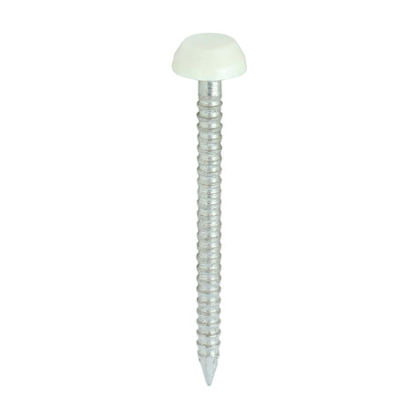 This is an image showing TIMCO Polymer Headed Pins - A4 Stainless Steel - Cream - 30mm - 250 Pieces Box available from T.H Wiggans Ironmongery in Kendal, quick delivery at discounted prices.