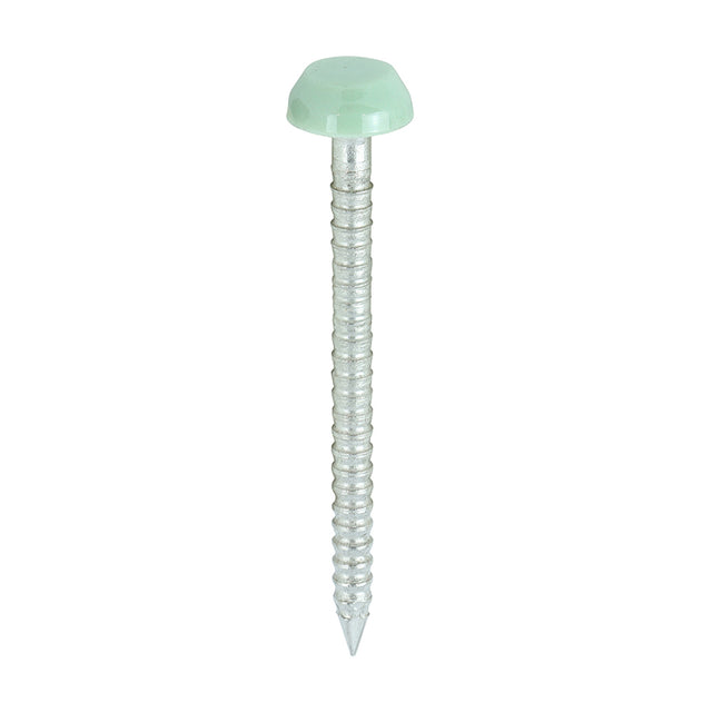 This is an image showing TIMCO Polymer Headed Pins - A4 Stainless Steel - Chartwell Green - 30mm - 250 Pieces Box available from T.H Wiggans Ironmongery in Kendal, quick delivery at discounted prices.