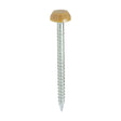 This is an image showing TIMCO Polymer Headed Pins - A4 Stainless Steel - Oak - 30mm - 250 Pieces Box available from T.H Wiggans Ironmongery in Kendal, quick delivery at discounted prices.