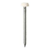 This is an image showing TIMCO Polymer Headed Pins - Stainless Steel - White - 30mm - 60 Pieces TIMpac available from T.H Wiggans Ironmongery in Kendal, quick delivery at discounted prices.