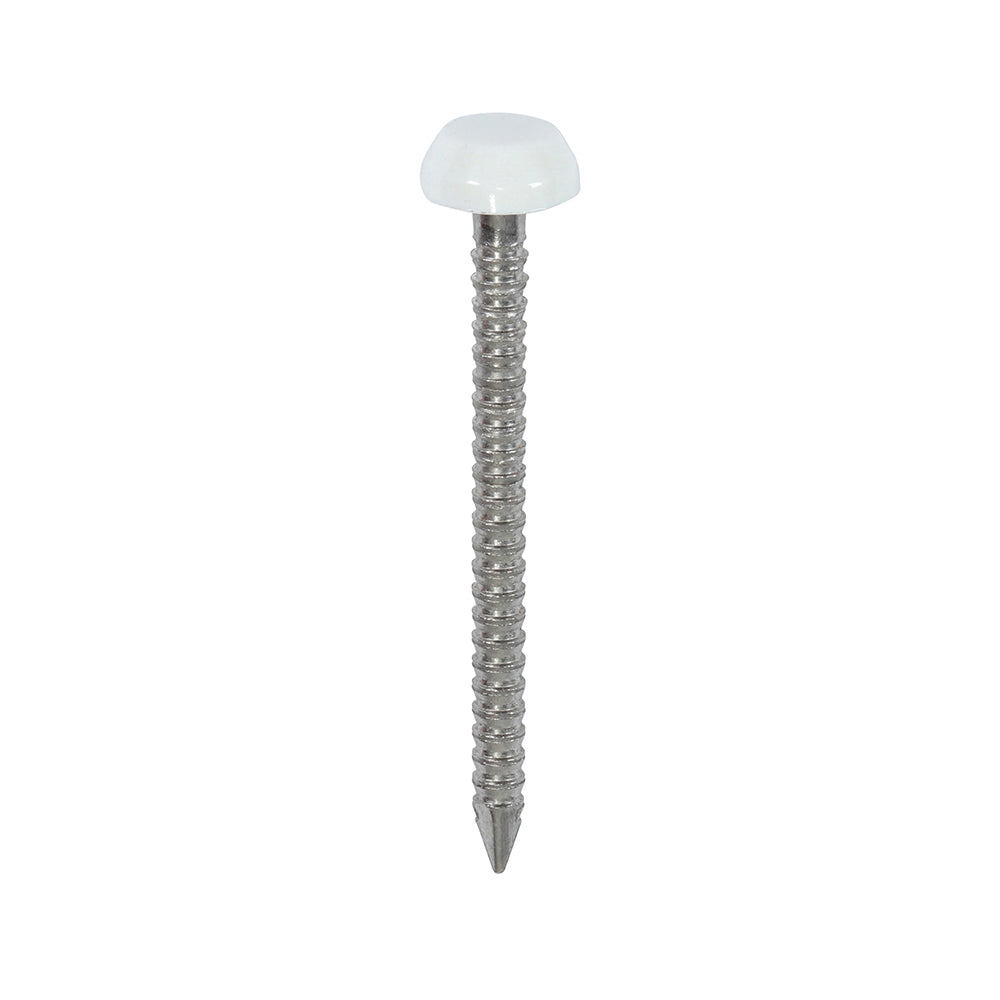 This is an image showing TIMCO Polymer Headed Pins - A4 Stainless Steel - White - 30mm - 250 Pieces Box available from T.H Wiggans Ironmongery in Kendal, quick delivery at discounted prices.