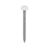 This is an image showing TIMCO Polymer Headed Pins - A4 Stainless Steel - White - 30mm - 250 Pieces Box available from T.H Wiggans Ironmongery in Kendal, quick delivery at discounted prices.