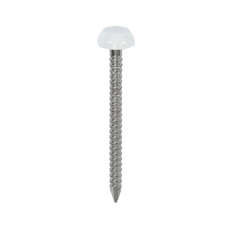 This is an image showing TIMCO Polymer Headed Pins - A4 Stainless Steel - White - 30mm - 250 Pieces Box available from T.H Wiggans Ironmongery in Kendal, quick delivery at discounted prices.