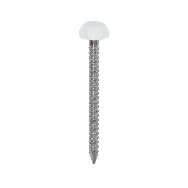 This is an image showing TIMCO Polymer Headed Pins - A4 Stainless Steel - White - 30mm - 250 Pieces Box available from T.H Wiggans Ironmongery in Kendal, quick delivery at discounted prices.