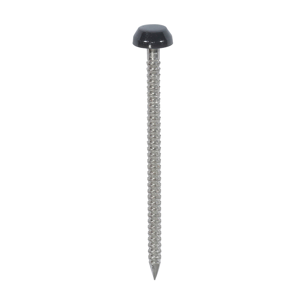 This is an image showing TIMCO Polymer Headed Pins - A4 Stainless Steel - Anthracite Grey - 40mm - 250 Pieces Box available from T.H Wiggans Ironmongery in Kendal, quick delivery at discounted prices.