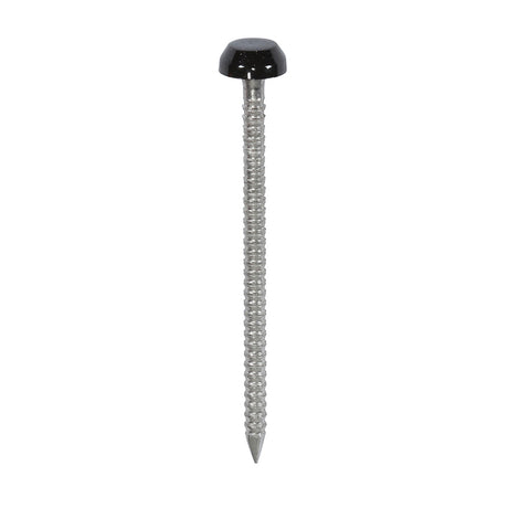 This is an image showing TIMCO Polymer Headed Pins - A4 Stainless Steel - Black - 40mm - 250 Pieces Box available from T.H Wiggans Ironmongery in Kendal, quick delivery at discounted prices.