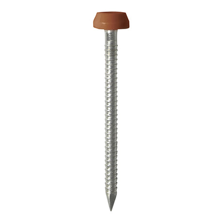 This is an image showing TIMCO Polymer Headed Pins - A4 Stainless Steel - Clay Brown - 40mm - 250 Pieces Box available from T.H Wiggans Ironmongery in Kendal, quick delivery at discounted prices.