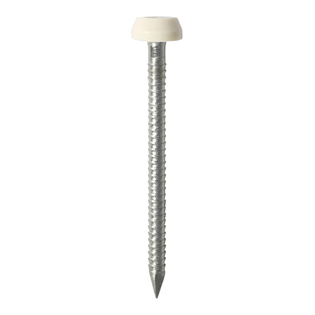 This is an image showing TIMCO Polymer Headed Pins - A4 Stainless Steel - Cream - 40mm - 250 Pieces Box available from T.H Wiggans Ironmongery in Kendal, quick delivery at discounted prices.