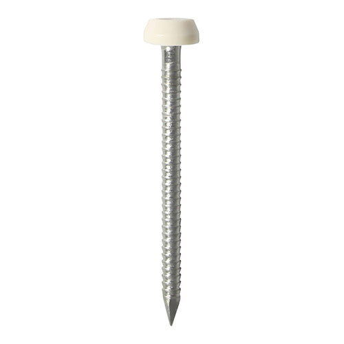 This is an image showing TIMCO Polymer Headed Pins - A4 Stainless Steel - Cream - 40mm - 250 Pieces Box available from T.H Wiggans Ironmongery in Kendal, quick delivery at discounted prices.