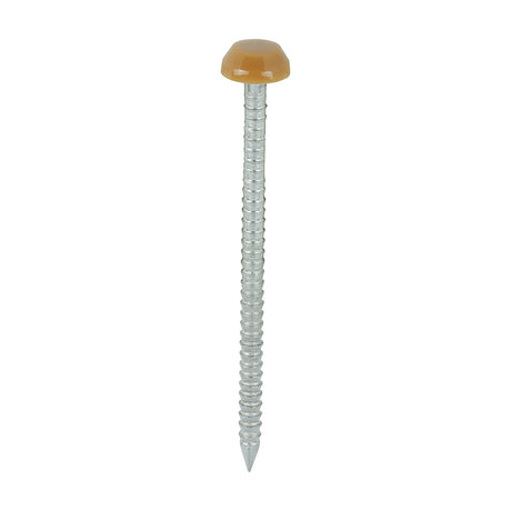 This is an image showing TIMCO Polymer Headed Pins - A4 Stainless Steel - Oak - 40mm - 250 Pieces Box available from T.H Wiggans Ironmongery in Kendal, quick delivery at discounted prices.