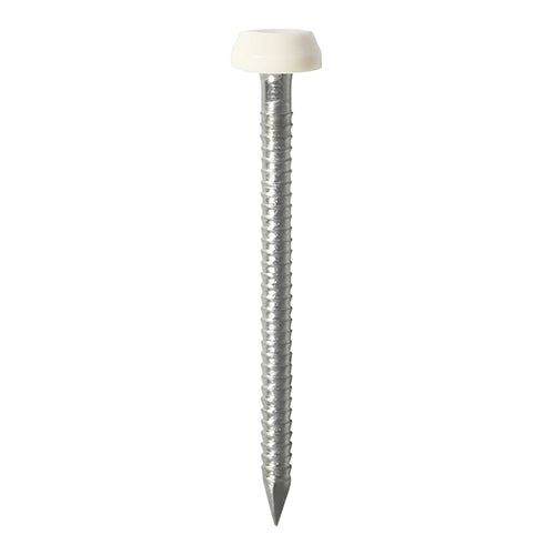 This is an image showing TIMCO Polymer Headed Pins - Stainless Steel - White - 40mm - 50 Pieces TIMpac available from T.H Wiggans Ironmongery in Kendal, quick delivery at discounted prices.