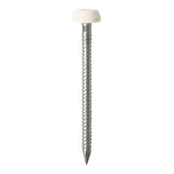 This is an image showing TIMCO Polymer Headed Pins - Stainless Steel - White - 40mm - 50 Pieces TIMpac available from T.H Wiggans Ironmongery in Kendal, quick delivery at discounted prices.