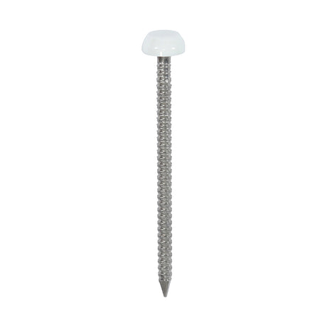 This is an image showing TIMCO Polymer Headed Pins - A4 Stainless Steel - White - 40mm - 250 Pieces Box available from T.H Wiggans Ironmongery in Kendal, quick delivery at discounted prices.