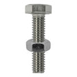 This is an image showing TIMCO Set Screws & Hex Nuts - Stainless Steel - M10 x 100 - 2 Pieces TIMpac available from T.H Wiggans Ironmongery in Kendal, quick delivery at discounted prices.