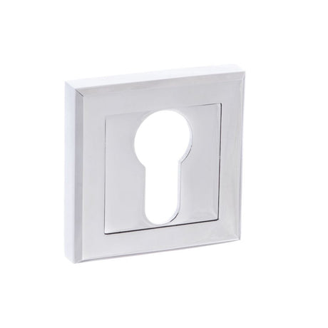 This is an image of STATUS Euro Escutcheon on Square Rose - Polished Chrome available to order from T.H Wiggans Architectural Ironmongery in Kendal, quick delivery and discounted prices.