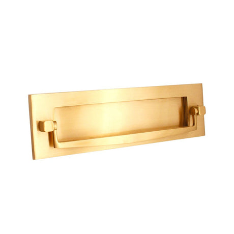 This is an image of Spira Brass - Regency Knocker Postal Plate 250mm Polished Brass available to order from T.H Wiggans Architectural Ironmongery in Kendal, quick delivery and discounted prices.