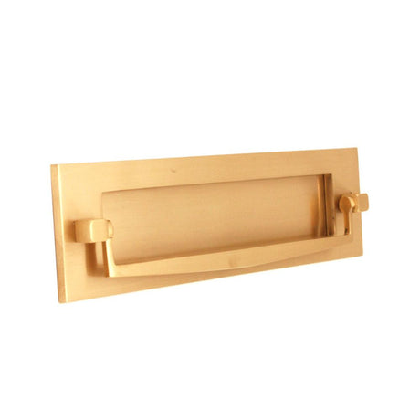 This is an image of Spira Brass - Regency Knocker Postal Plate 250mm Satin Brass available to order from T.H Wiggans Architectural Ironmongery in Kendal, quick delivery and discounted prices.