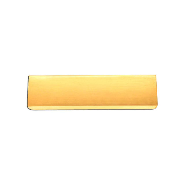 This is an image of Spira Brass - Tidy Flap 275 x 80mm Polished Brass available to order from T.H Wiggans Architectural Ironmongery in Kendal, quick delivery and discounted prices.