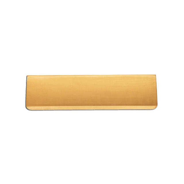 This is an image of Spira Brass - Tidy Flap 275 x 80mm Satin Brass available to order from T.H Wiggans Architectural Ironmongery in Kendal, quick delivery and discounted prices.