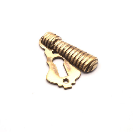 This is an image of Spira Brass - Beehive Escutcheon Aged Brass available to order from T.H Wiggans Architectural Ironmongery in Kendal, quick delivery and discounted prices.