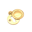 This is an image of Spira Brass - Victorian Key hole Covered Polished Brass available to order from T.H Wiggans Architectural Ironmongery in Kendal, quick delivery and discounted prices.