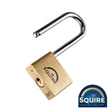 This is an image showing TIMCO Premium Brass Lion Padlock - 2.5" Long Shackle - LN5/2.5 - 50mm - 1 Each Blister Pack available from T.H Wiggans Ironmongery in Kendal, quick delivery at discounted prices.