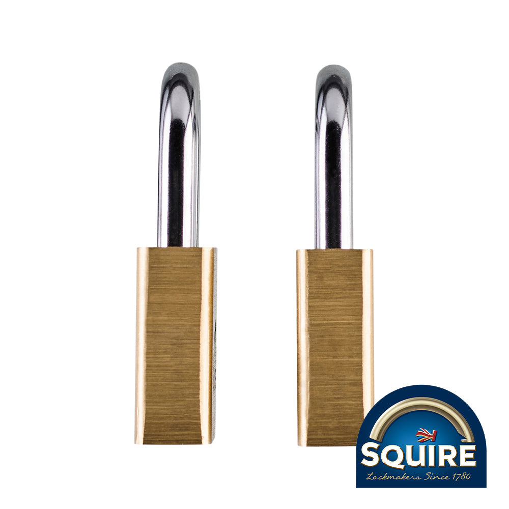 This is an image showing TIMCO Premium Brass Lion Padlock - Keyed Alike - LN5T - 50mm - 2 Pieces Blister Pack available from T.H Wiggans Ironmongery in Kendal, quick delivery at discounted prices.