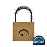 This is an image showing TIMCO Premium Brass Lion Padlock - LN4 - 40mm - 1 Each Blister Pack available from T.H Wiggans Ironmongery in Kendal, quick delivery at discounted prices.
