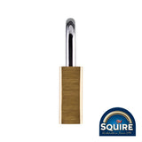 This is an image showing TIMCO Premium Brass Lion Padlock - LN4 - 40mm - 1 Each Blister Pack available from T.H Wiggans Ironmongery in Kendal, quick delivery at discounted prices.