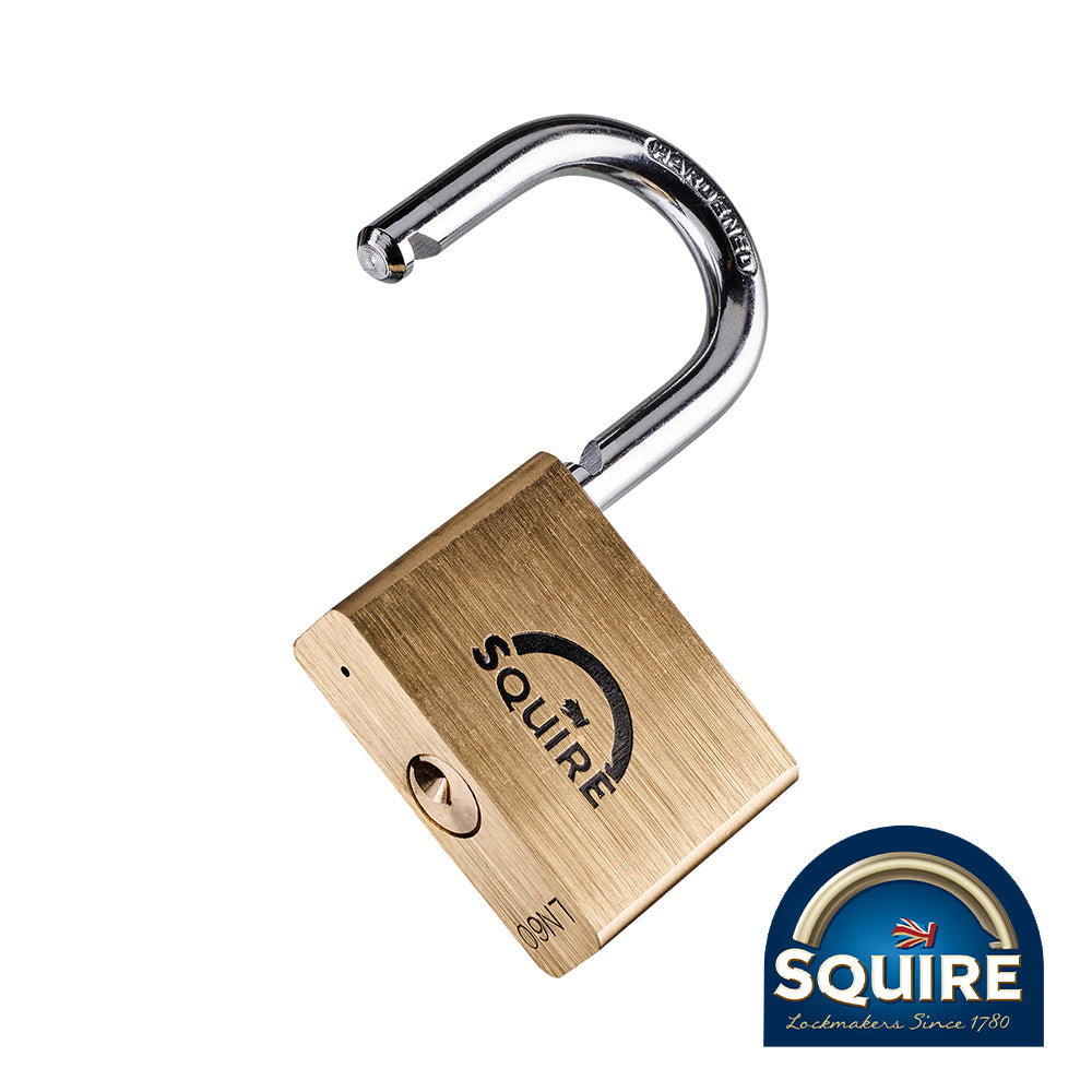 This is an image showing TIMCO Premium Brass Lion Padlock - LN60 - 60mm - 1 Each Blister Pack available from T.H Wiggans Ironmongery in Kendal, quick delivery at discounted prices.