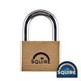 This is an image showing TIMCO Premium Brass Lion Padlock - LN60 - 60mm - 1 Each Blister Pack available from T.H Wiggans Ironmongery in Kendal, quick delivery at discounted prices.