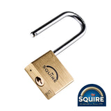This is an image showing TIMCO Premium Brass Lion Padlock - 2.5" Stainless Steel Shackle - LN4S/2.5 - 40mm - 1 Each Blister Pack available from T.H Wiggans Ironmongery in Kendal, quick delivery at discounted prices.