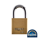 This is an image showing TIMCO Premium Brass Lion Padlock - Stainless Steel Shackle - LN3S - 30mm - 1 Each Blister Pack available from T.H Wiggans Ironmongery in Kendal, quick delivery at discounted prices.