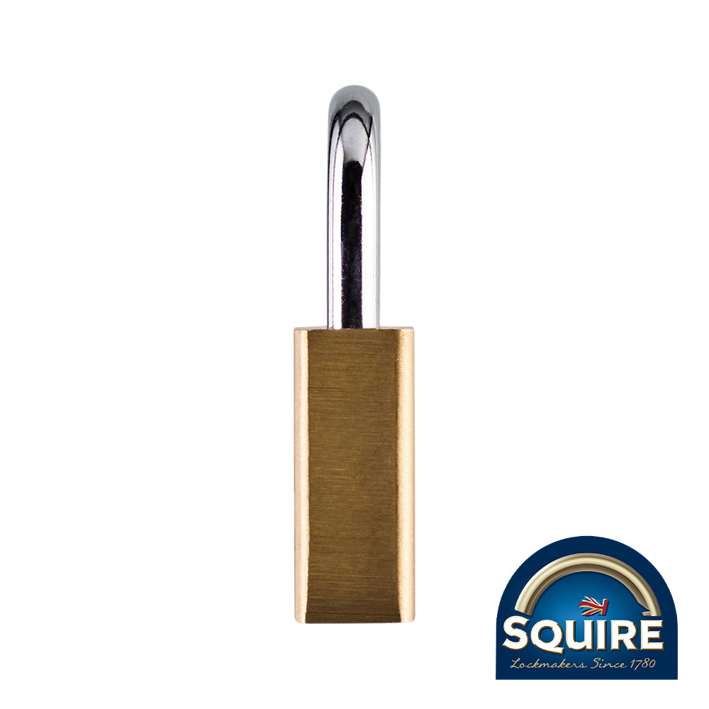 This is an image showing TIMCO Premium Brass Lion Padlock - Stainless Steel Shackle - LN3S - 30mm - 1 Each Blister Pack available from T.H Wiggans Ironmongery in Kendal, quick delivery at discounted prices.