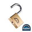 This is an image showing TIMCO Premium Brass Lion Padlock - Stainless Steel Shackle - LN5S - 50mm - 1 Each Blister Pack available from T.H Wiggans Ironmongery in Kendal, quick delivery at discounted prices.