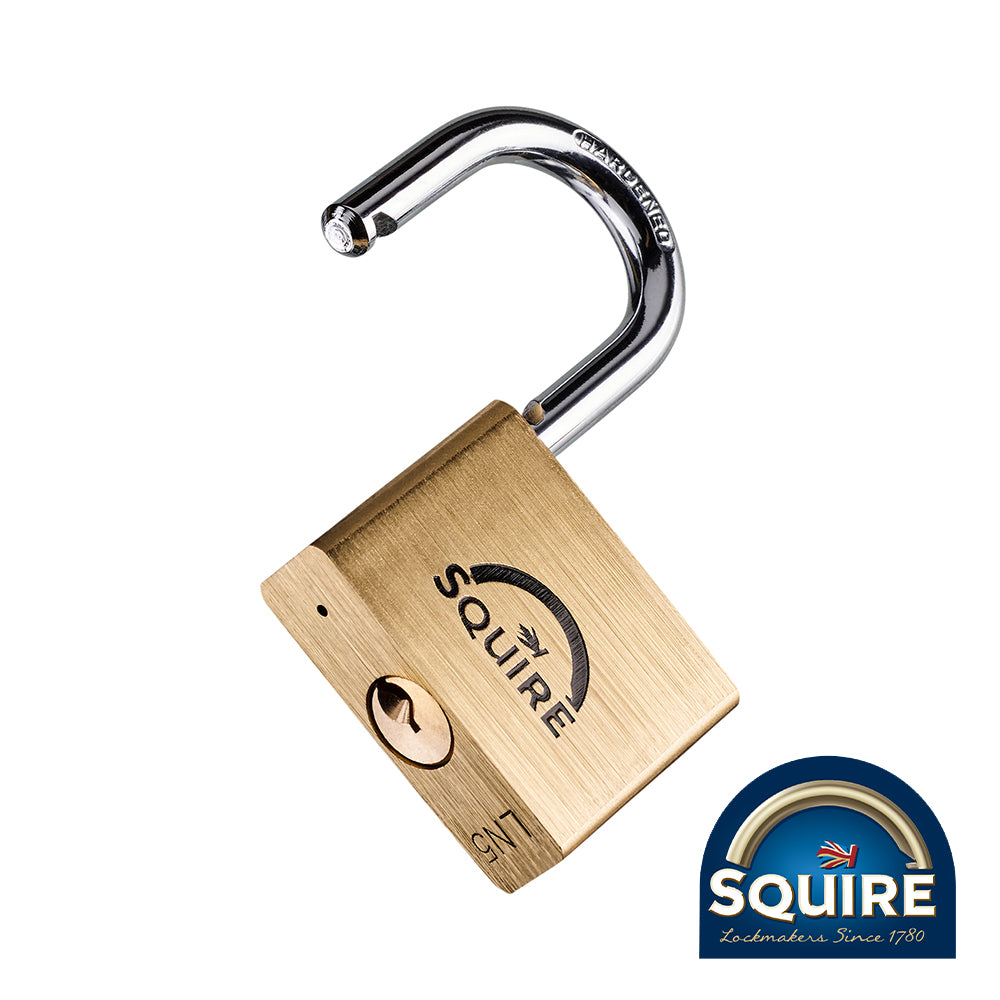 This is an image showing TIMCO Premium Brass Lion Padlock - Stainless Steel Shackle - LN5S - 50mm - 1 Each Blister Pack available from T.H Wiggans Ironmongery in Kendal, quick delivery at discounted prices.