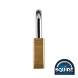 This is an image showing TIMCO Premium Brass Lion Padlock - Stainless Steel Shackle - LN5S - 50mm - 1 Each Blister Pack available from T.H Wiggans Ironmongery in Kendal, quick delivery at discounted prices.