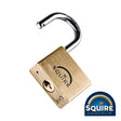 This is an image showing TIMCO Premium Brass Lion Padlock - Stainless Steel Shackle - LN4S - 40mm - 1 Each Blister Pack available from T.H Wiggans Ironmongery in Kendal, quick delivery at discounted prices.