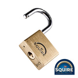 This is an image showing TIMCO Premium Brass Lion Padlock - Stainless Steel Shackle - LN4S - 40mm - 1 Each Blister Pack available from T.H Wiggans Ironmongery in Kendal, quick delivery at discounted prices.
