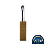 This is an image showing TIMCO Premium Brass Lion Padlock - Stainless Steel Shackle - LN4S - 40mm - 1 Each Blister Pack available from T.H Wiggans Ironmongery in Kendal, quick delivery at discounted prices.