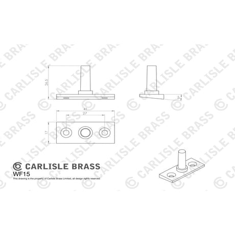 This image is a line drwaing of a Carlisle Brass - EJMA Pin - Satin Chrome available to order from T.H Wiggans Architectural Ironmongery in Kendal in Kendal